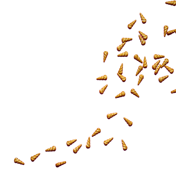 About Fancy Sprinkles Our Founder Lisa Stelly & Team